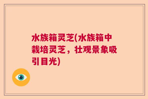 水族箱灵芝(水族箱中栽培灵芝,壮观景象吸引目光) 水族箱灵芝(水族箱中栽培灵芝,壮观景象吸引目光)