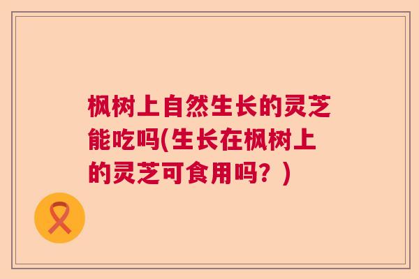 枫树上自然生长的灵芝能吃吗(生长在枫树上的灵芝可食用吗?) 枫树上自然生长的灵芝能吃吗(生长在枫树上的灵芝可食用吗?)