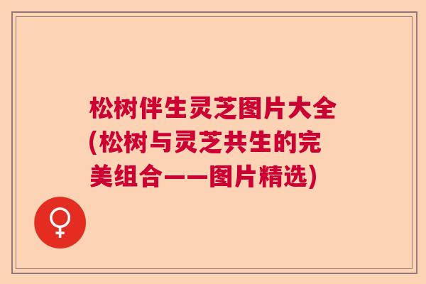 松树伴生灵芝图片大全(松树与灵芝共生的完美组合——图片精选) 松树伴生灵芝图片大全(松树与灵芝共生的完美组合——图片精选)