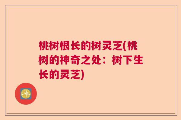 桃树根长的树灵芝(桃树的神奇之处:树下生长的灵芝) 桃树根长的树灵芝(桃树的神奇之处:树下生长的灵芝)