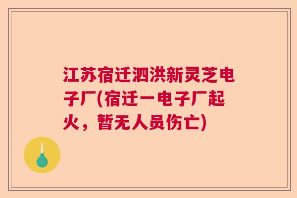 江苏宿迁泗洪新灵芝电子厂(宿迁一电子厂起火,暂无人员伤亡) 江苏宿迁泗洪新灵芝电子厂(宿迁一电子厂起火,暂无人员伤亡)
