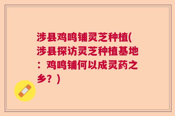 涉县鸡鸣铺灵芝种植(涉县探访灵芝种植基地:鸡鸣铺何以成灵药之乡?) 涉县鸡鸣铺灵芝种植(涉县探访灵芝种植基地:鸡鸣铺何以成灵药之乡?)