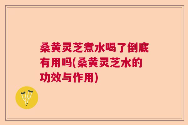 桑黄灵芝煮水喝了倒底有用吗(桑黄灵芝水的功效与作用) 桑黄灵芝煮水喝了倒底有用吗(桑黄灵芝水的功效与作用)