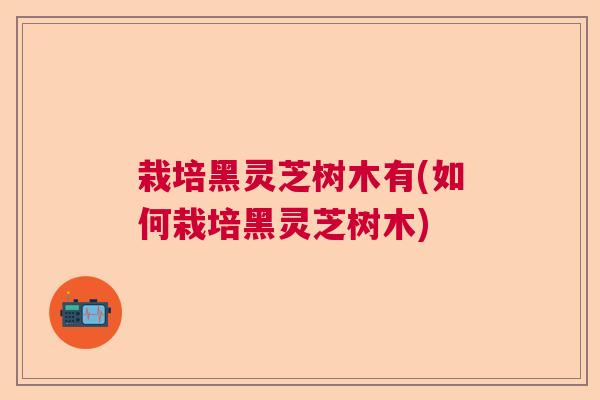 栽培黑灵芝树木有(如何栽培黑灵芝树木) 栽培黑灵芝树木有(如何栽培黑灵芝树木)