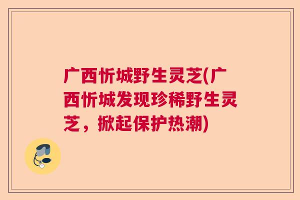 广西忻城野生灵芝(广西忻城发现珍稀野生灵芝,掀起保护热潮) 广西忻城野生灵芝(广西忻城发现珍稀野生灵芝,掀起保护热潮)