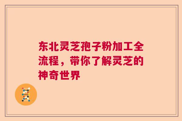 东北灵芝孢子粉加工全流程,带你了解灵芝的神奇世界 东北灵芝孢子粉加工全流程,带你了解灵芝的神奇世界