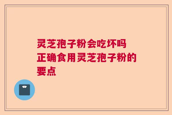 灵芝孢子粉会吃坏吗 正确食用灵芝孢子粉的要点 灵芝孢子粉会吃坏吗 正确食用灵芝孢子粉的要点