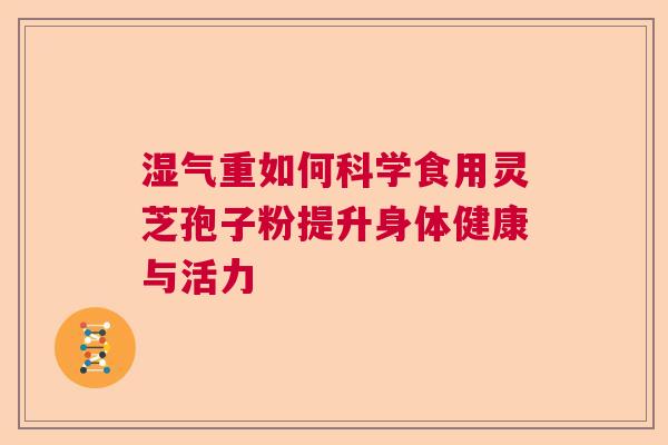 湿气重如何科学食用灵芝孢子粉提升身体健康与活力 湿气重如何科学食用灵芝孢子粉提升身体健康与活力