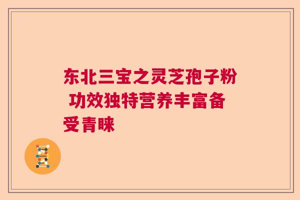 东北三宝之灵芝孢子粉 功效独特营养丰富备受青睐 东北三宝之灵芝孢子粉 功效独特营养丰富备受青睐