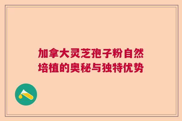 加拿大灵芝孢子粉自然培植的奥秘与独特优势 加拿大灵芝孢子粉自然培植的奥秘与独特优势