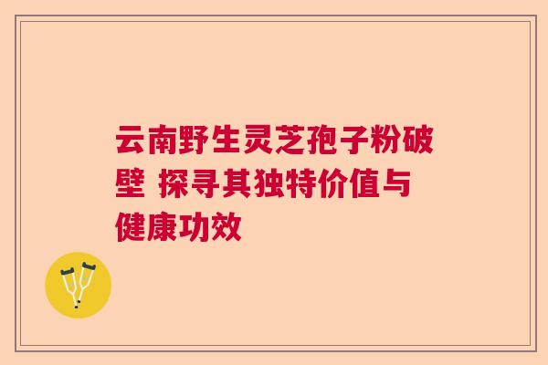 云南野生灵芝孢子粉破壁 探寻其独特价值与健康功效 云南野生灵芝孢子粉破壁 探寻其独特价值与健康功效