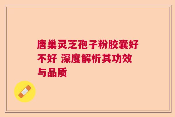 唐巢灵芝孢子粉胶囊好不好 深度解析其功效与品质