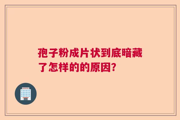 孢子粉成片状到底暗藏了怎样的的原因? 孢子粉成片状到底暗藏了怎样的的原因?