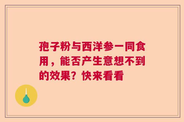 孢子粉与西洋参一同食用,能否产生意想不到的效果?快来看看 孢子粉与西洋参一同食用,能否产生意想不到的效果?快来看看
