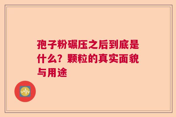孢子粉碾压之后到底是什么?颗粒的真实面貌与用途 孢子粉碾压之后到底是什么?颗粒的真实面貌与用途