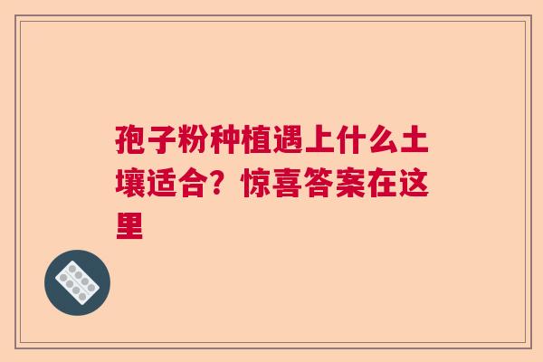 孢子粉种植遇上什么土壤适合?惊喜答案在这里 孢子粉种植遇上什么土壤适合?惊喜答案在这里