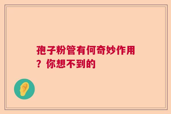 孢子粉管有何奇妙作用?你想不到的 孢子粉管有何奇妙作用?你想不到的