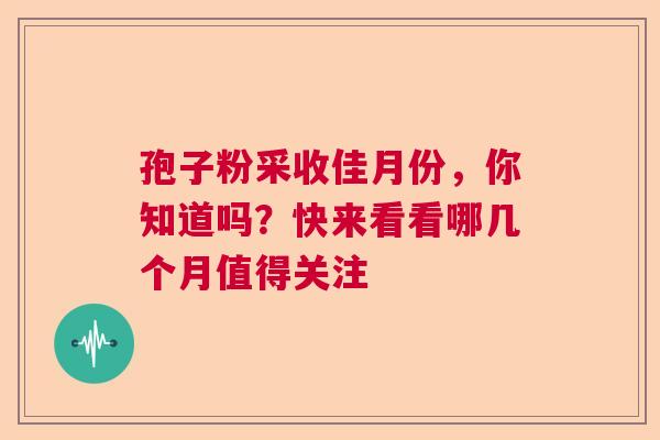 孢子粉采收佳月份,你知道吗?快来看看哪几个月值得关注 孢子粉采收佳月份,你知道吗?快来看看哪几个月值得关注
