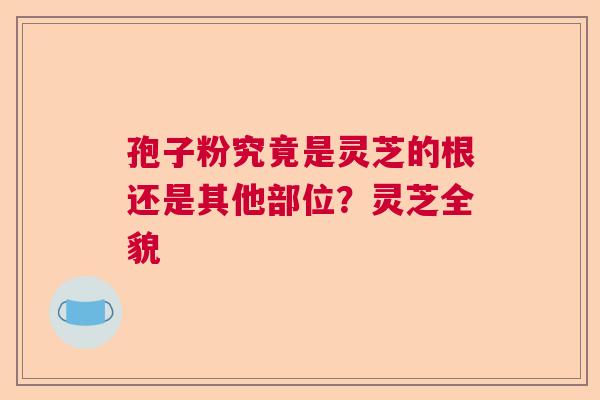 孢子粉究竟是灵芝的根还是其他部位?灵芝全貌 孢子粉究竟是灵芝的根还是其他部位?灵芝全貌