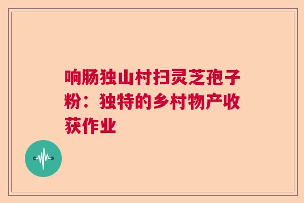 响肠独山村扫灵芝孢子粉:独特的乡村物产收获作业 响肠独山村扫灵芝孢子粉:独特的乡村物产收获作业