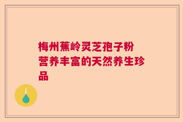 梅州蕉岭灵芝孢子粉 营养丰富的天然养生珍品 梅州蕉岭灵芝孢子粉 营养丰富的天然养生珍品