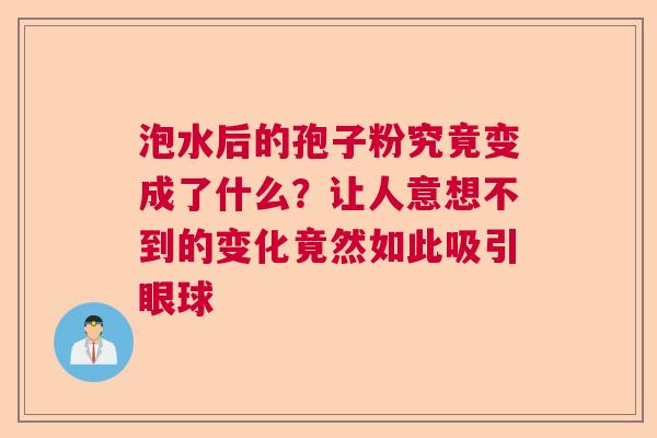 泡水后的孢子粉究竟变成了什么?让人意想不到的变化竟然如此吸引眼球 泡水后的孢子粉究竟变成了什么?让人意想不到的变化竟然如此吸引眼球